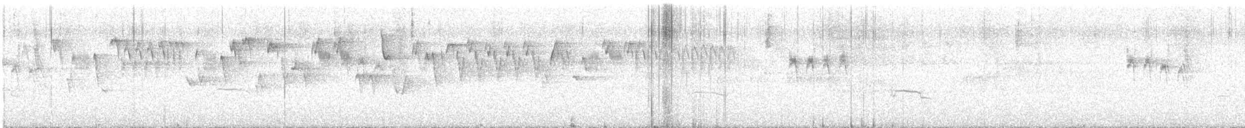 Marbled Murrelet - ML638196170