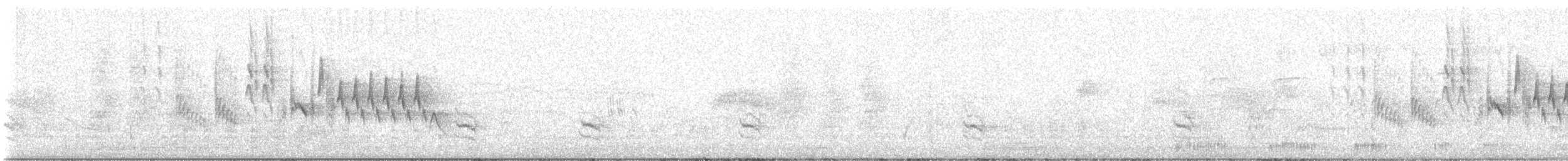 Northern House Wren - ML638198029