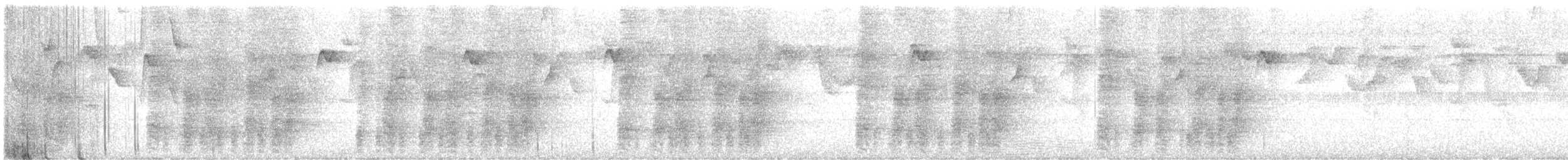 Band-backed Wren - ML638198478