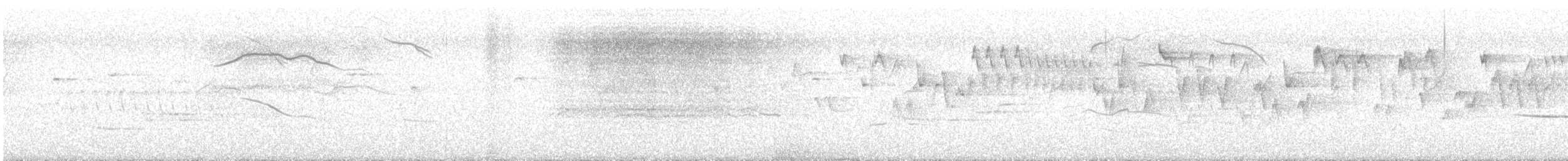 Marbled Murrelet - ML638203255