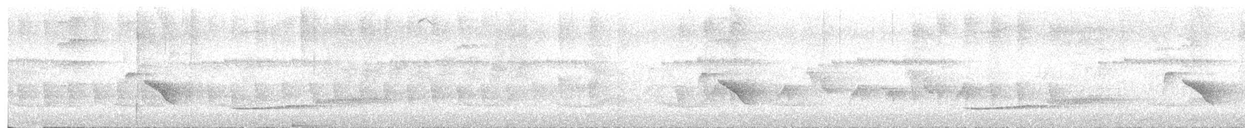 Marbled Wren-Babbler - ML638203528