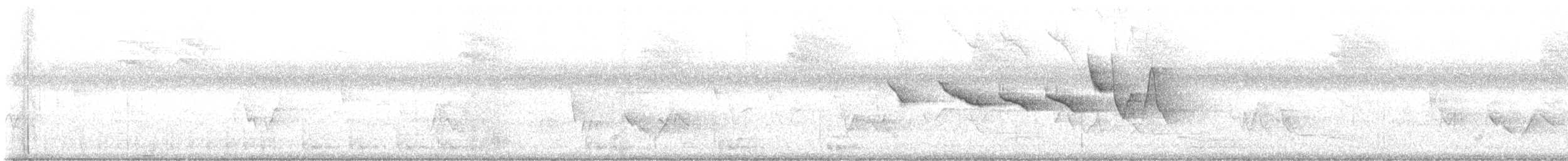 Swainson's Warbler - ML638204737
