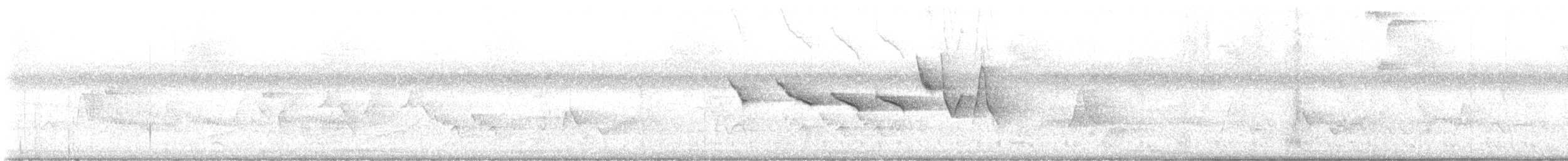 Swainson's Warbler - ML638204738