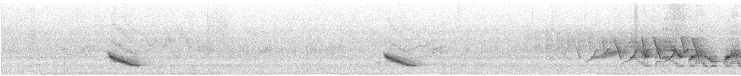 Veery - ML638205127
