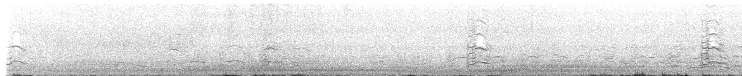 Ringschnabelmöwe - ML638206184