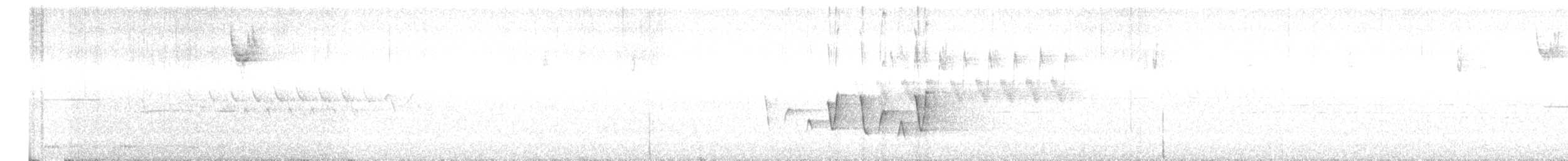 Connecticut Warbler - ML638206535
