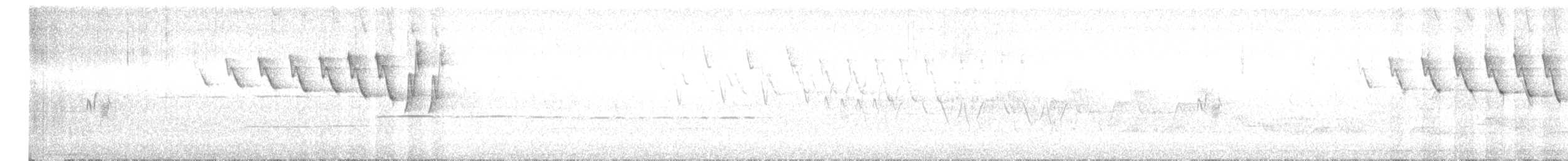 Nashville Warbler - ML638206716