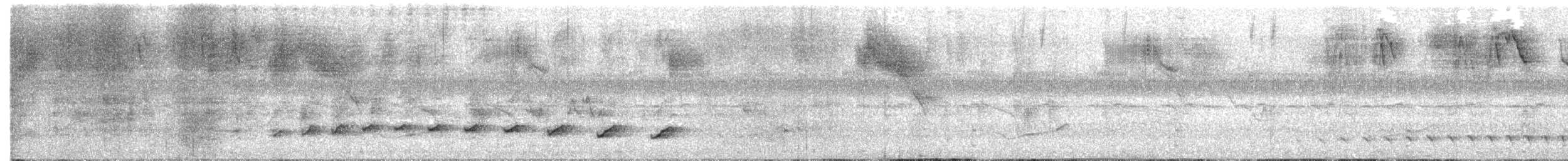 Cocoa Woodcreeper - ML638207218