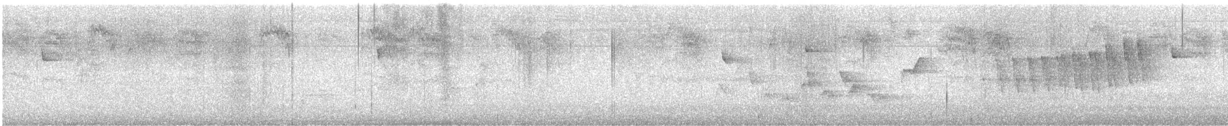 Warbling Vireo - ML638207520
