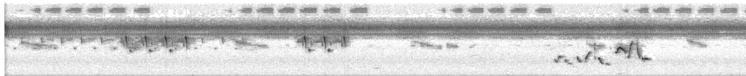 Swamp Grass Babbler - ML638207779