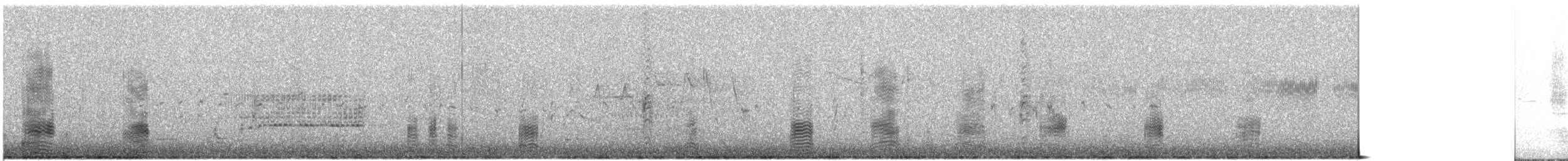 Stockente - ML638208011