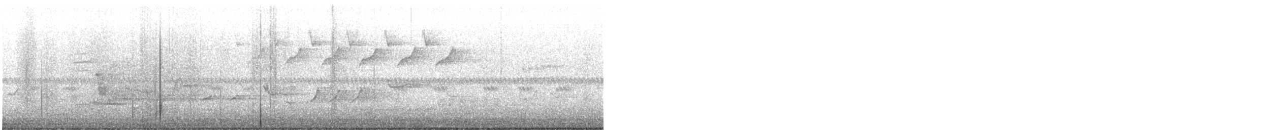 Black-and-white Warbler - ML638208437