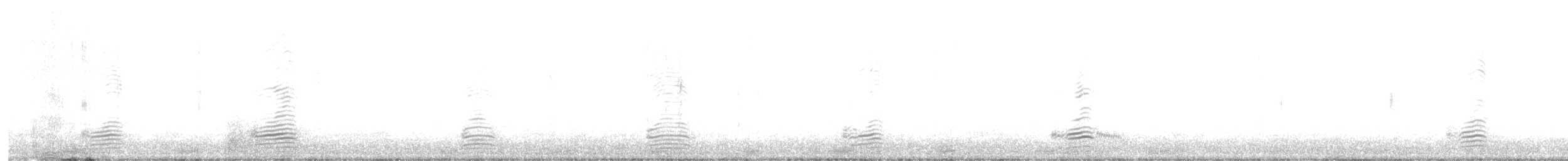 Australian Shelduck - ML638209485