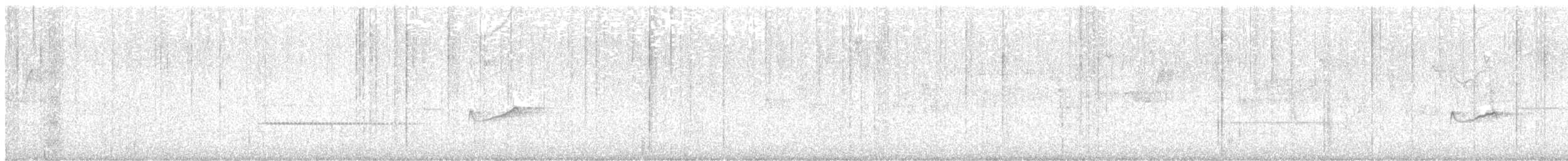 Yellow-bellied Flycatcher - ML638209985