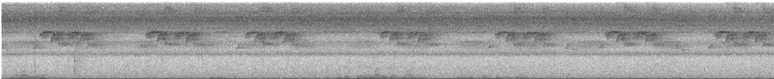 hummingbird sp. - ML638210204
