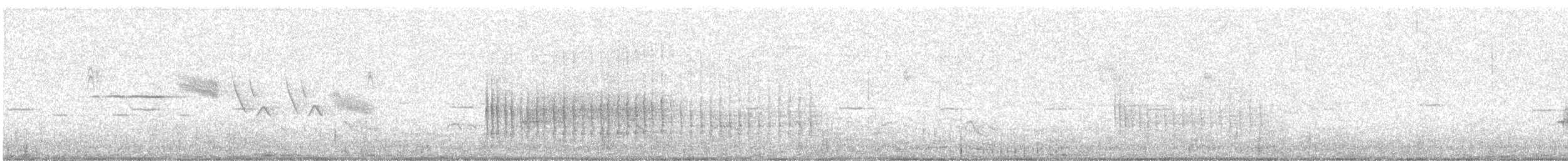 Belted Kingfisher - ML638210965