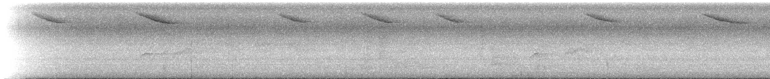 Gobemouche brun - ML638211216