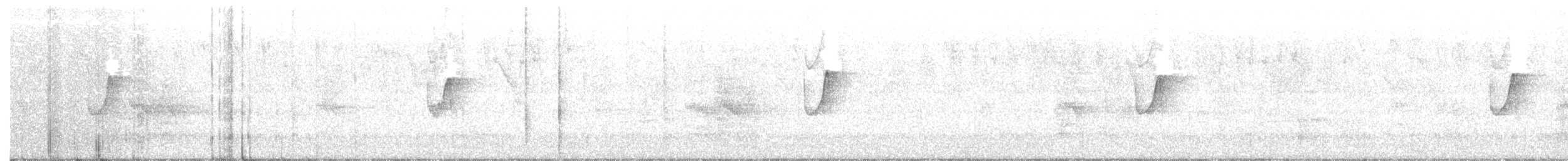 Atlantic Plain-Xenops - ML638211632