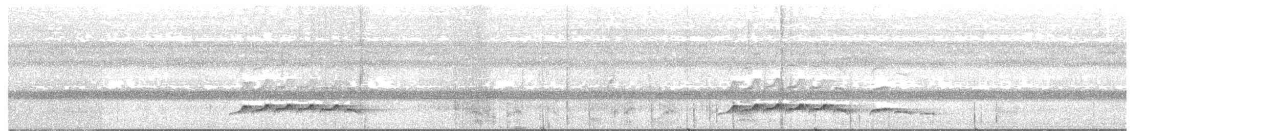 Atila Polimorfo - ML638211722