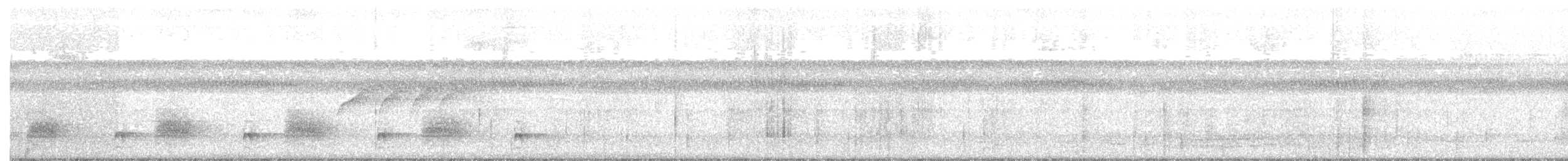 Gray Antbird - ML638211826