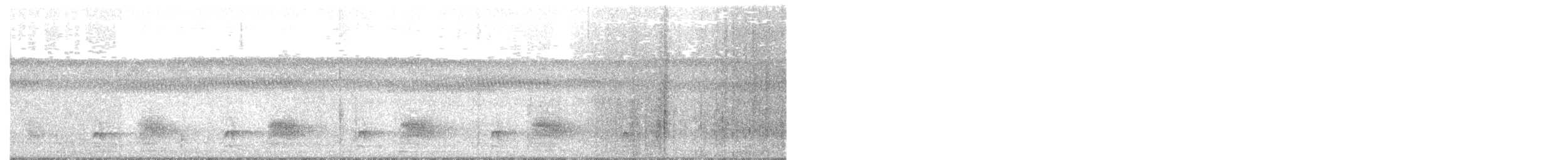Gray Antbird - ML638211829