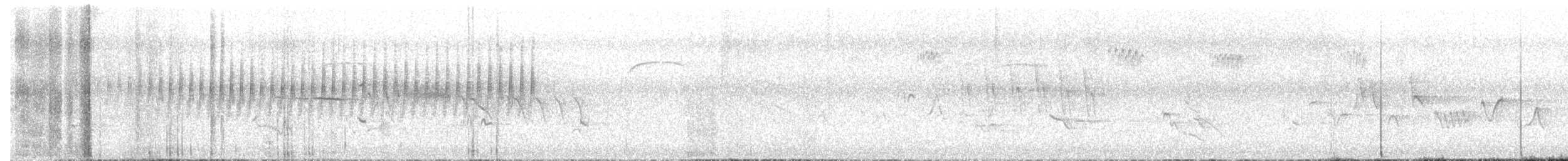 Chipping Sparrow - ML638212081