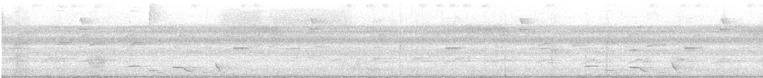 Black-bellied Wren - ML638212267