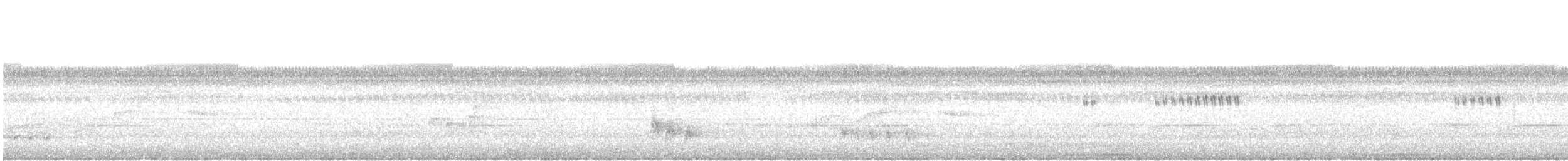 holub zelenokřídlý - ML638212504
