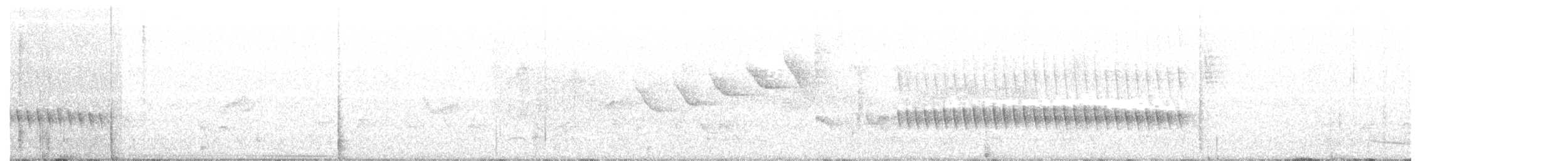 Long-billed Gnatwren (Trilling) - ML638212547