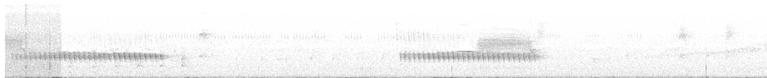 Long-billed Gnatwren (Trilling) - ML638212574