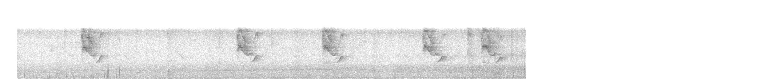 Loten's Sunbird - ML638212599