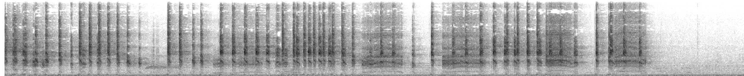 Râle gris (groupe longirostris) - ML638212809
