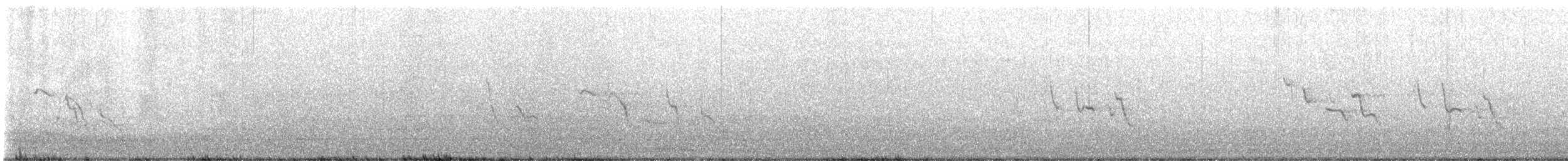 Madagascar Wagtail - ML638214550