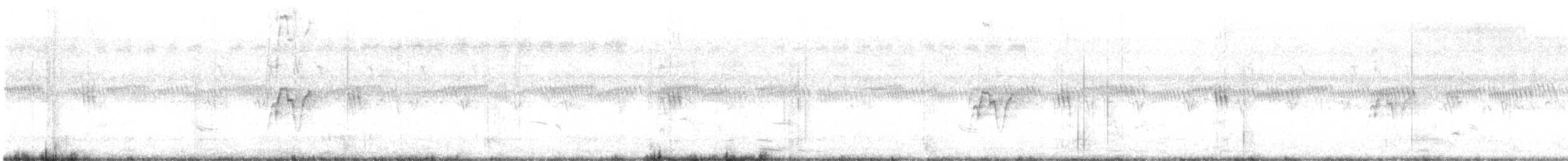 Pied Kingfisher - ML638215018