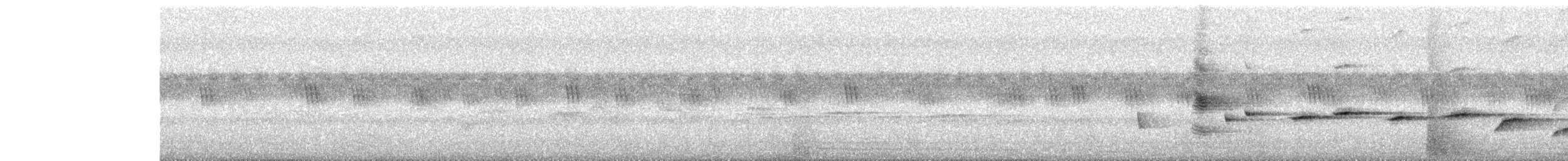 Spot-breasted Fantail - ML638216304