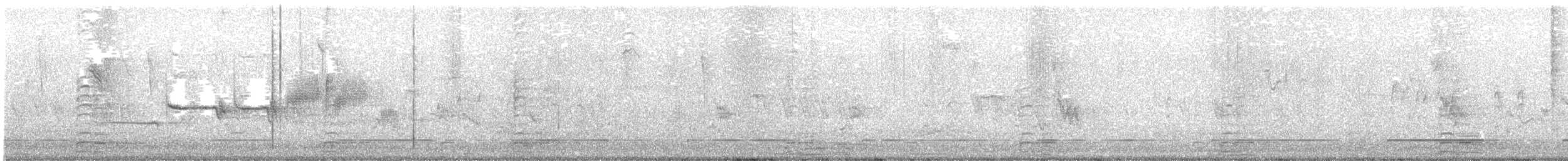 strnadec bělopásý - ML638217432