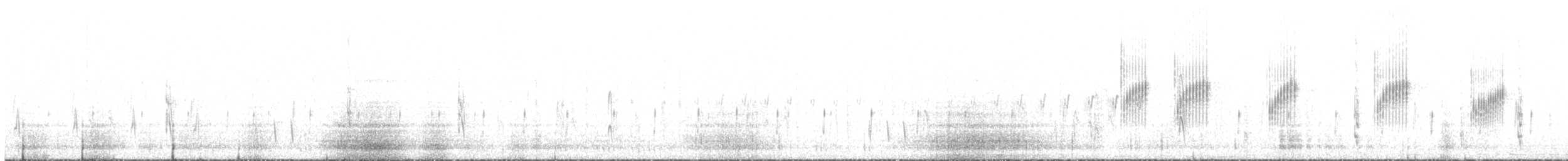 Black-chested Prinia - ML638217539