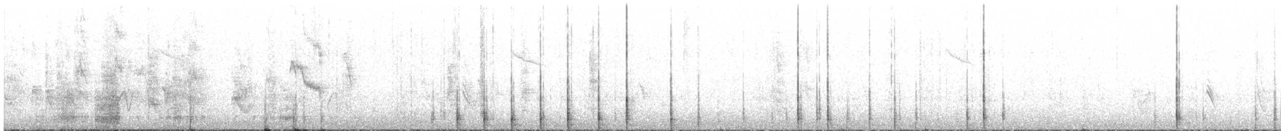 datlovití sp. - ML638218206