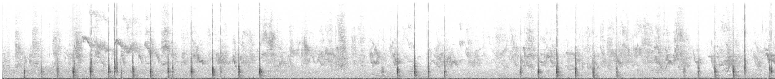 datlovití sp. - ML638218207