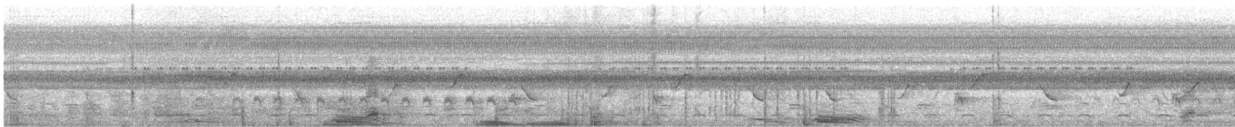 Zigzag Heron - ML638218340