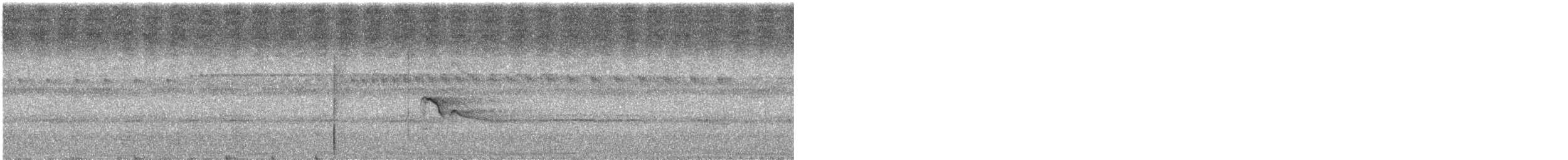 Plumbeous Kite - ML638221264