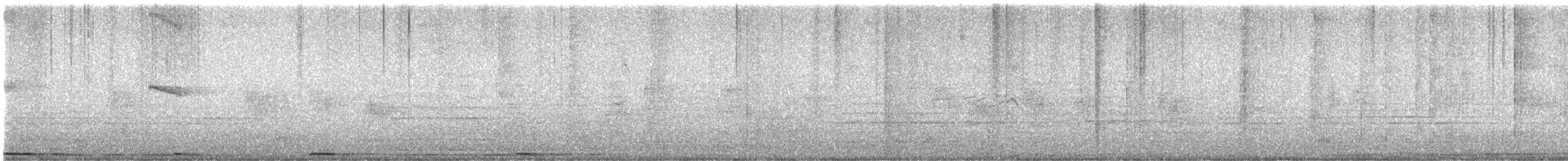 West Peruvian Dove - ML638222470