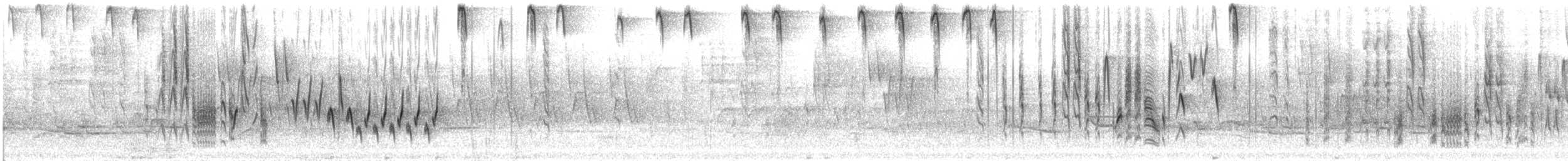 Northern House Wren - ML638224669