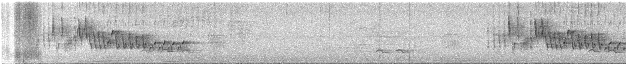 Northern House Wren - ML638226388
