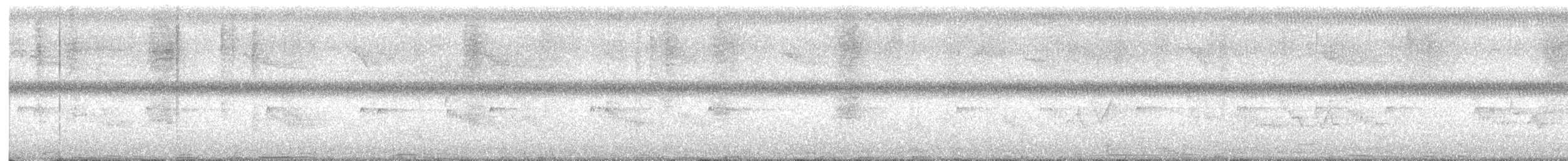 Carolina Wren - ML638226921