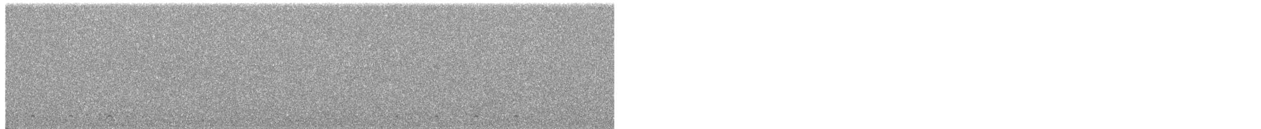 Least Seedsnipe - ML638227240