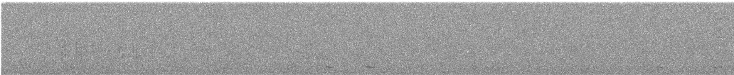 Least Seedsnipe - ML638227248
