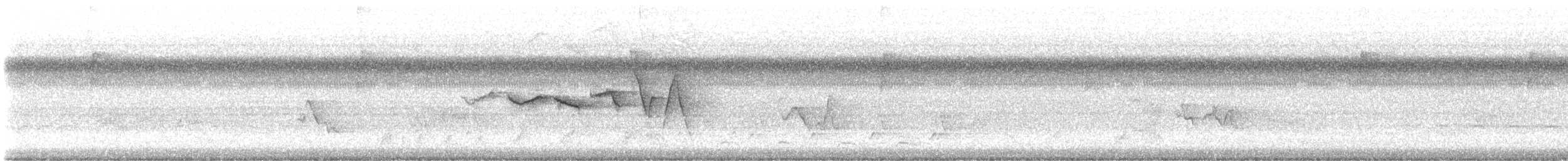 Swainson's Warbler - ML638228605