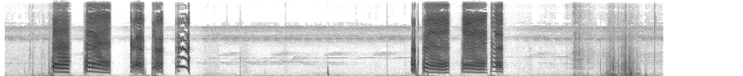Great Antshrike - ML638229896