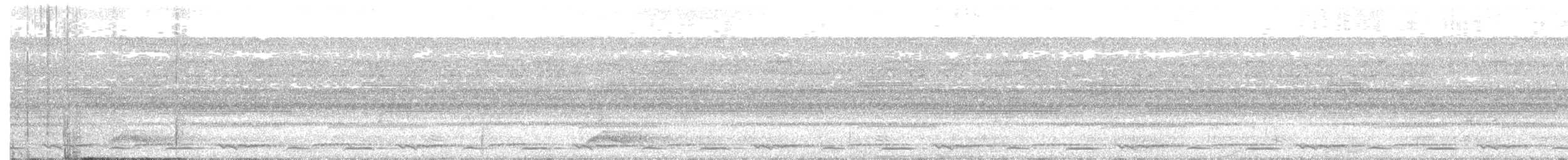 Starred Wood-Quail - ML638230157